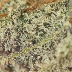 Black Diamond (Special) - Image 2