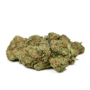 Hawaiian Diesel - Image 2