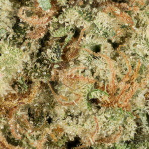 Hawaiian Diesel - Image 3