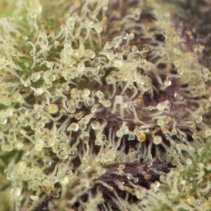 Motorbreath #2 - Image 2