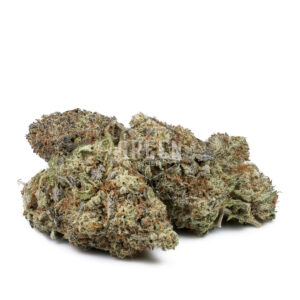 Russian Rocket Fuel by Short Stuff Seedbank - Image 2